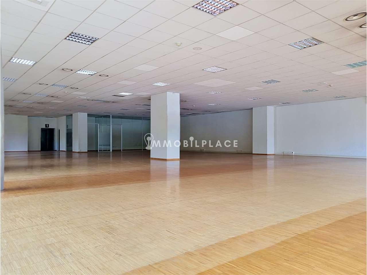 https://img.miogest.com/26336/8/imm_86331-20260623143906-1280-.jpg