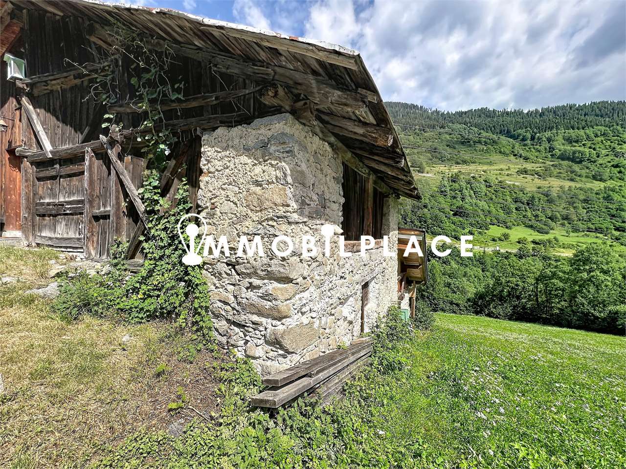 https://img.miogest.com/26336/8/imm_89077-20260721135806-1280-.jpg