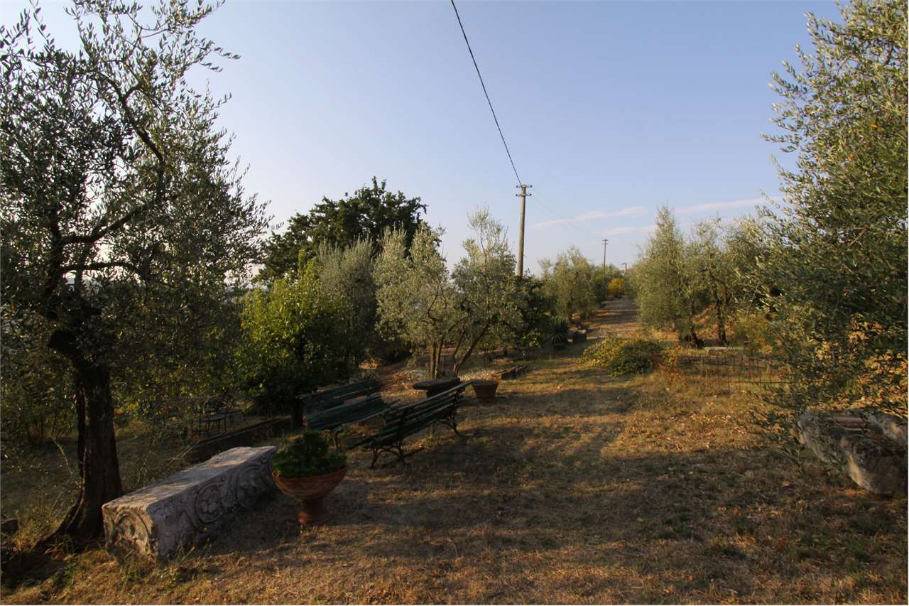 https://img.miogest.com/26336/9/imm_90288-20260805181205-1280-.jpg