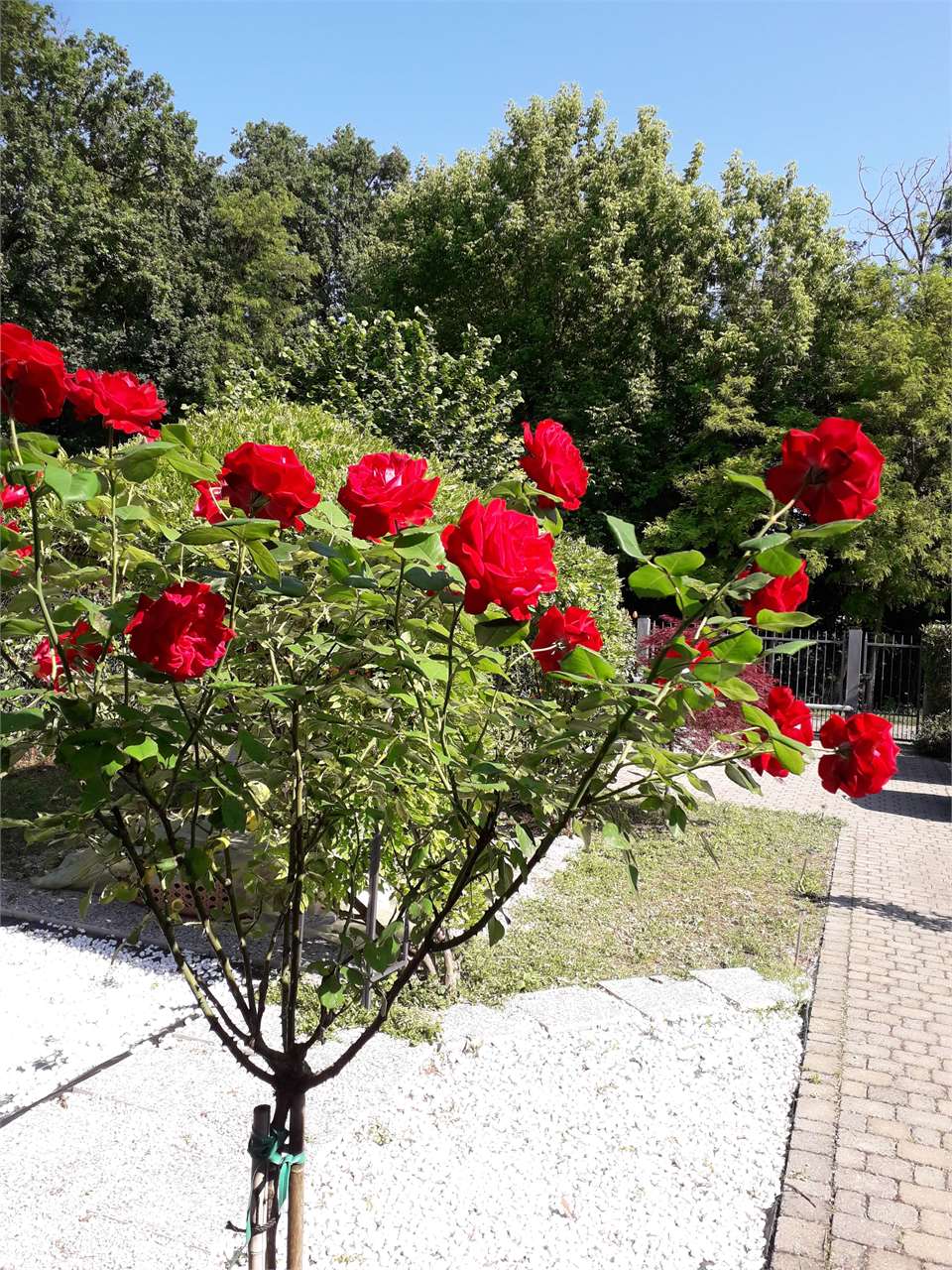 https://img.miogest.com/26336/9/imm_93314-20260914155236--1280.jpg