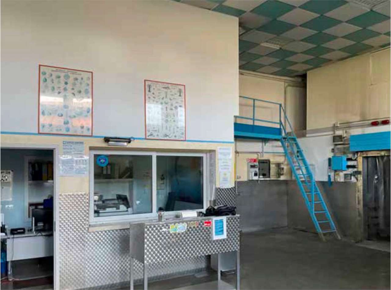 https://img.miogest.com/26336/9/imm_96580-20261014110440-1280-.jpg