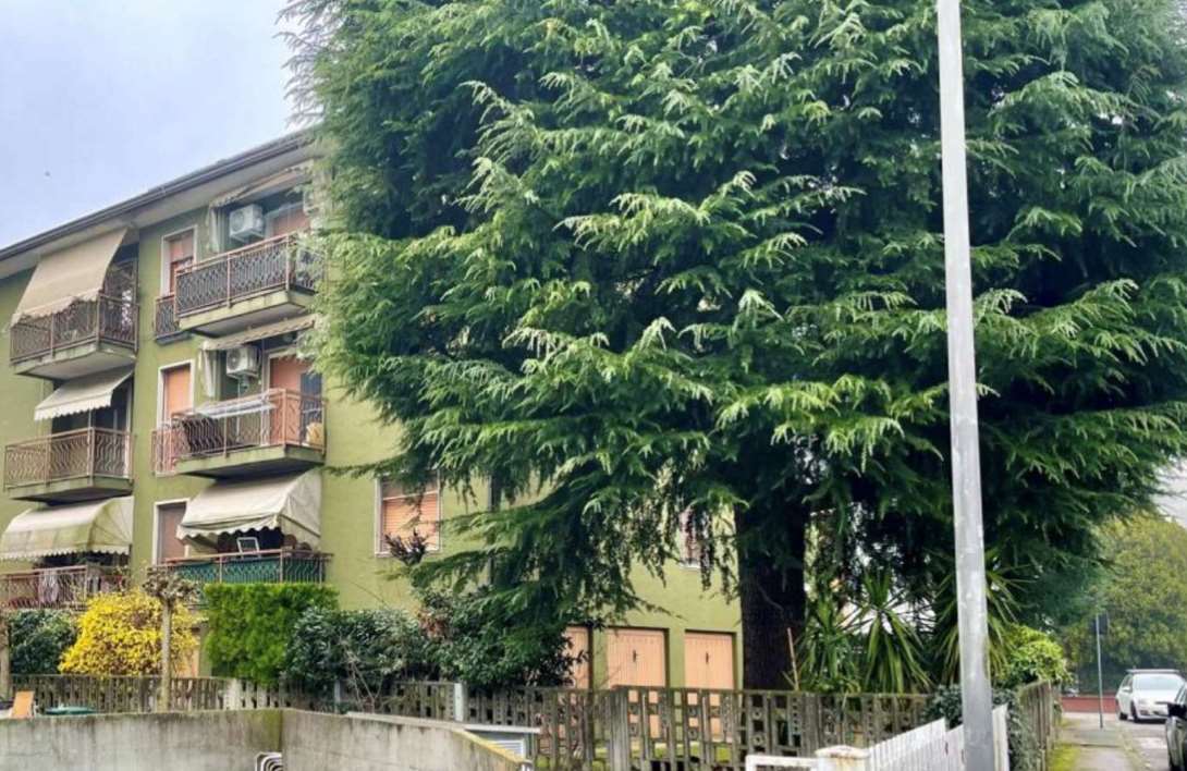 Appartamento in vendita a Scorzè - foto 5