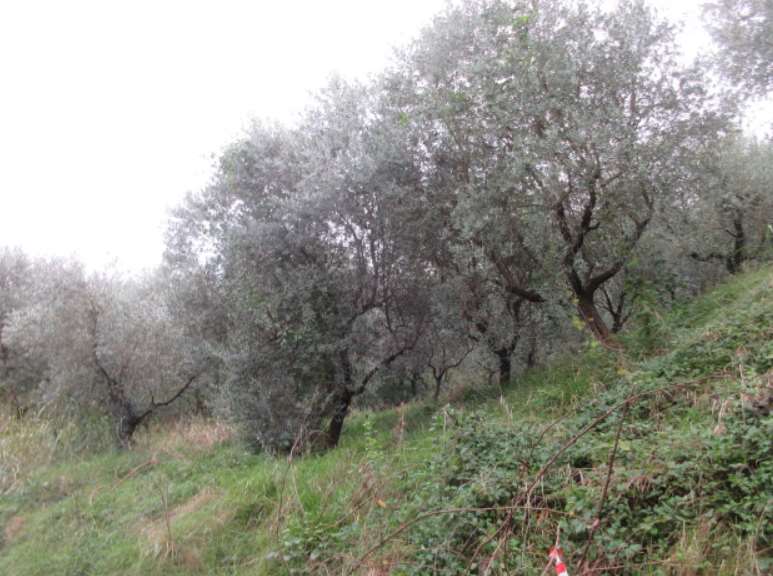 Appartamento in vendita a Marostica - foto 5