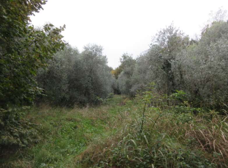 Appartamento in vendita a Marostica - foto 6