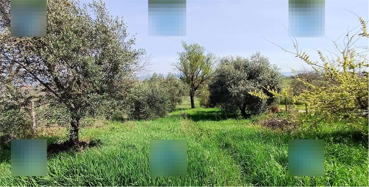 Appartamento in vendita a Zagarolo - foto 8