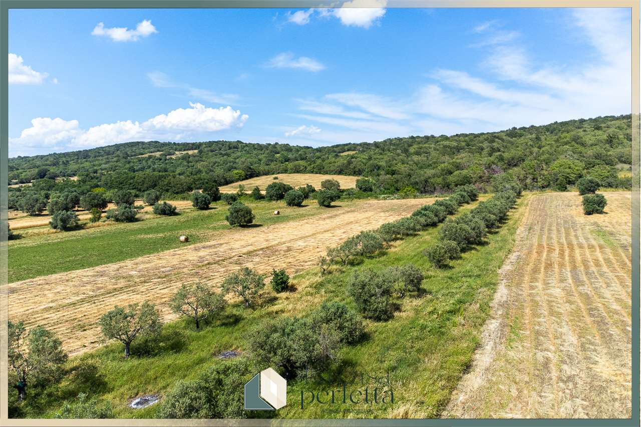 terreno agricolo in vendita a Vezzano Ligure in zona Prati