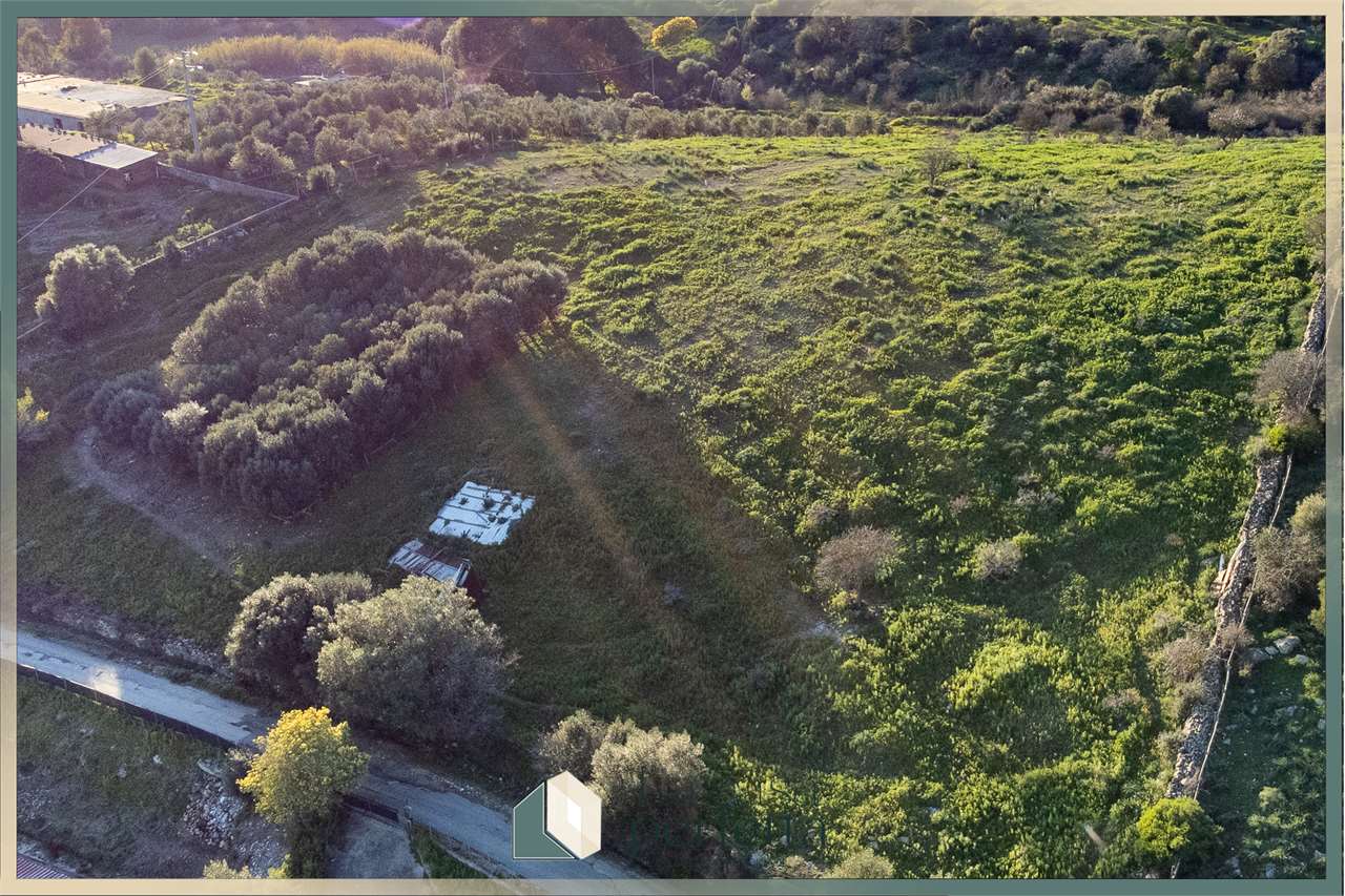 immagine annuncio 11 di 14