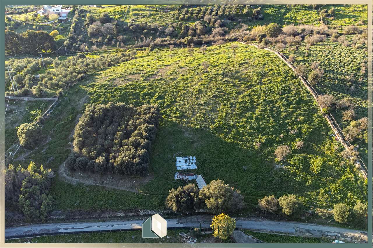 immagine annuncio 10 di 14