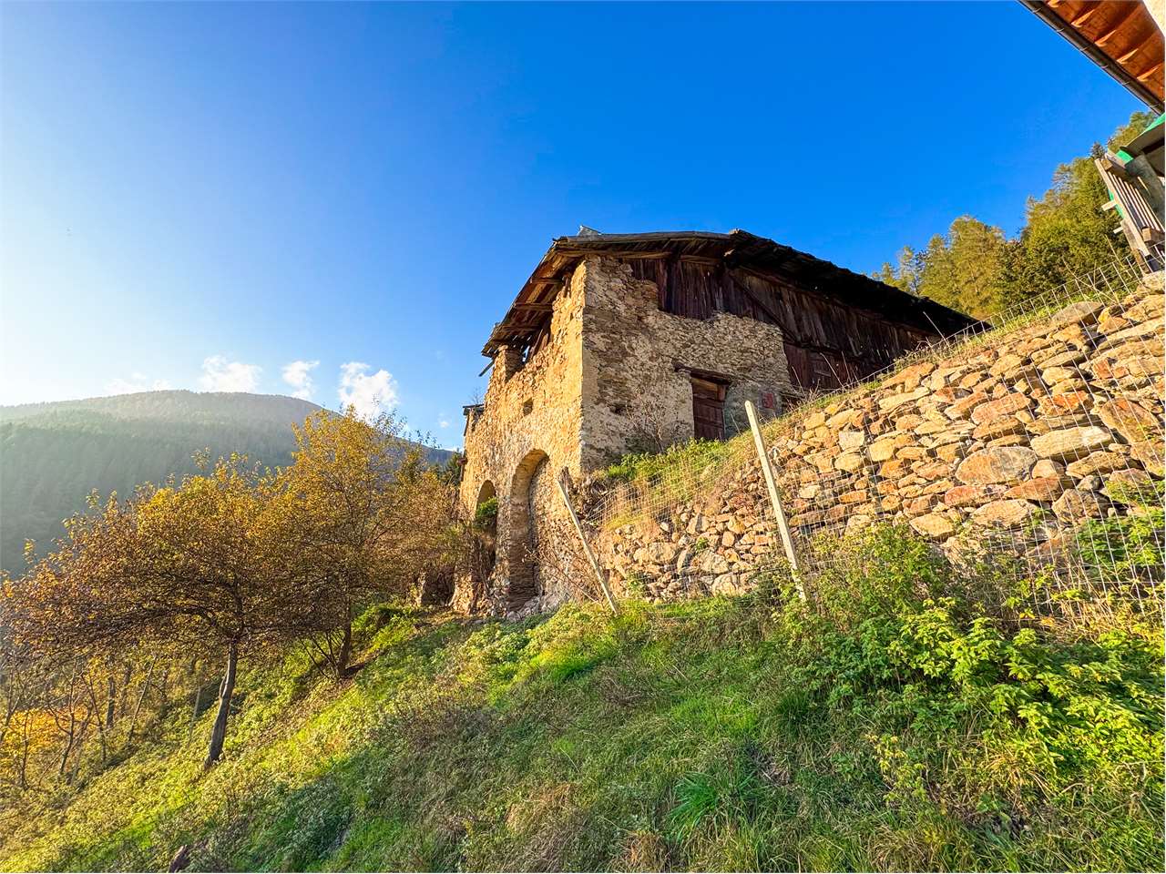 immagine annuncio 3 di 12