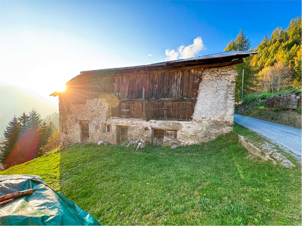 immagine annuncio 11 di 12