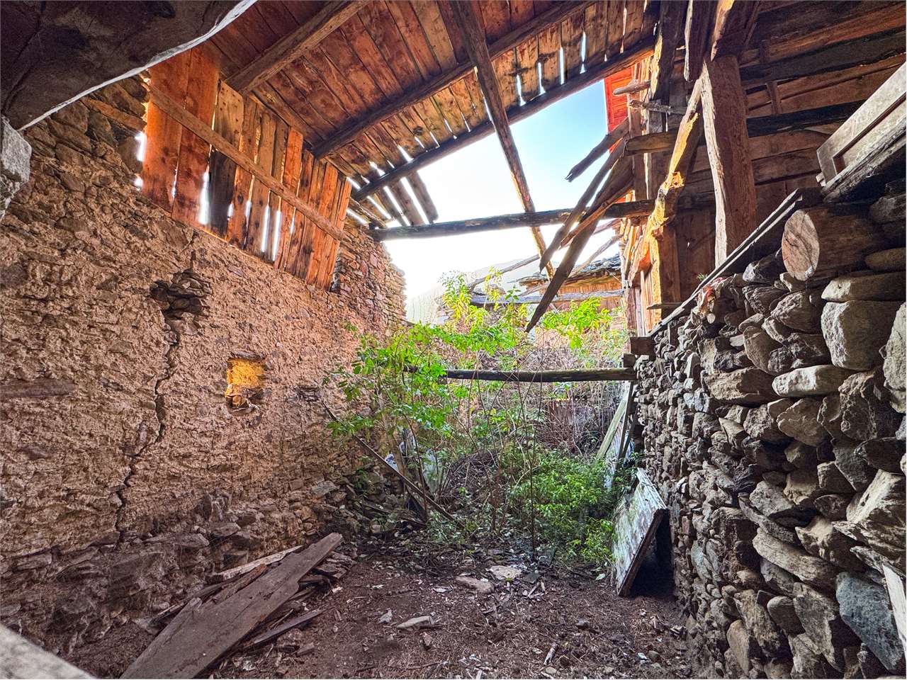 immagine annuncio 10 di 12