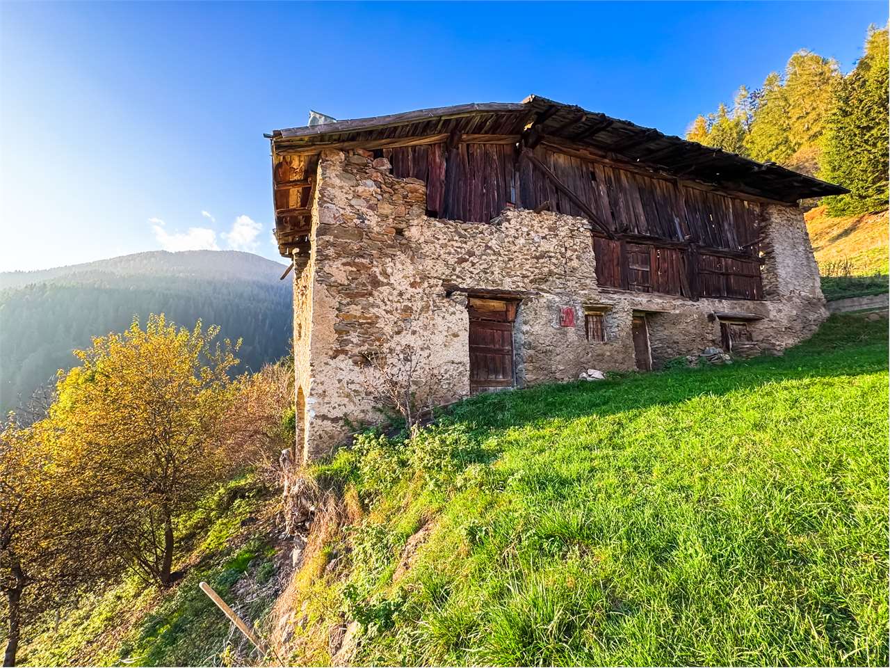 immagine annuncio 5 di 12