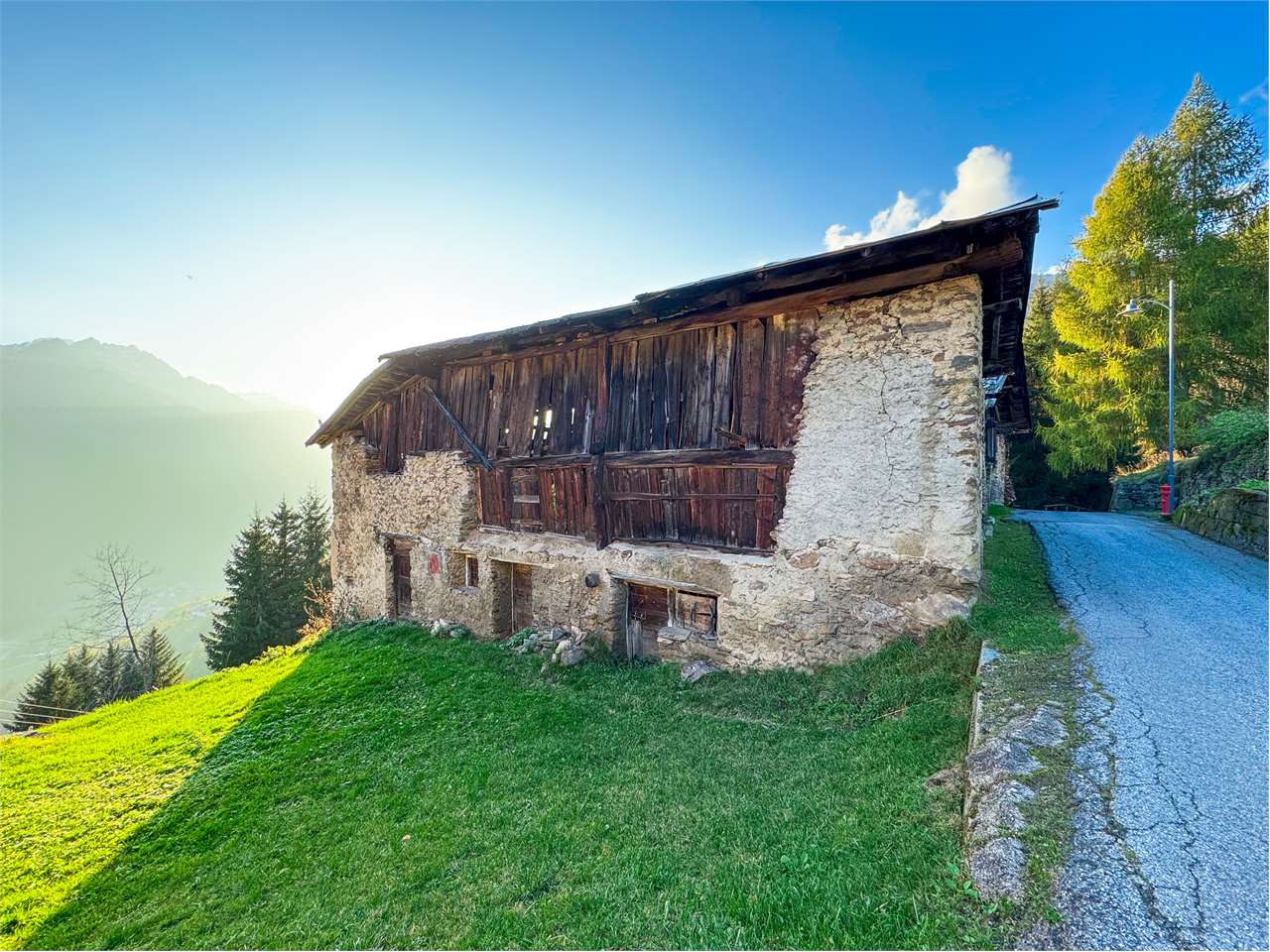 immagine annuncio 6 di 12