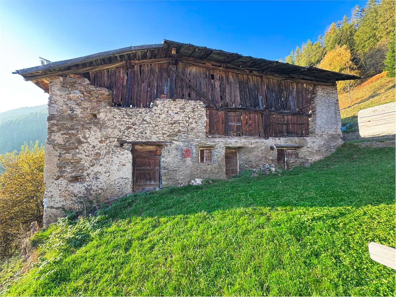 immagine annuncio 7 di 12