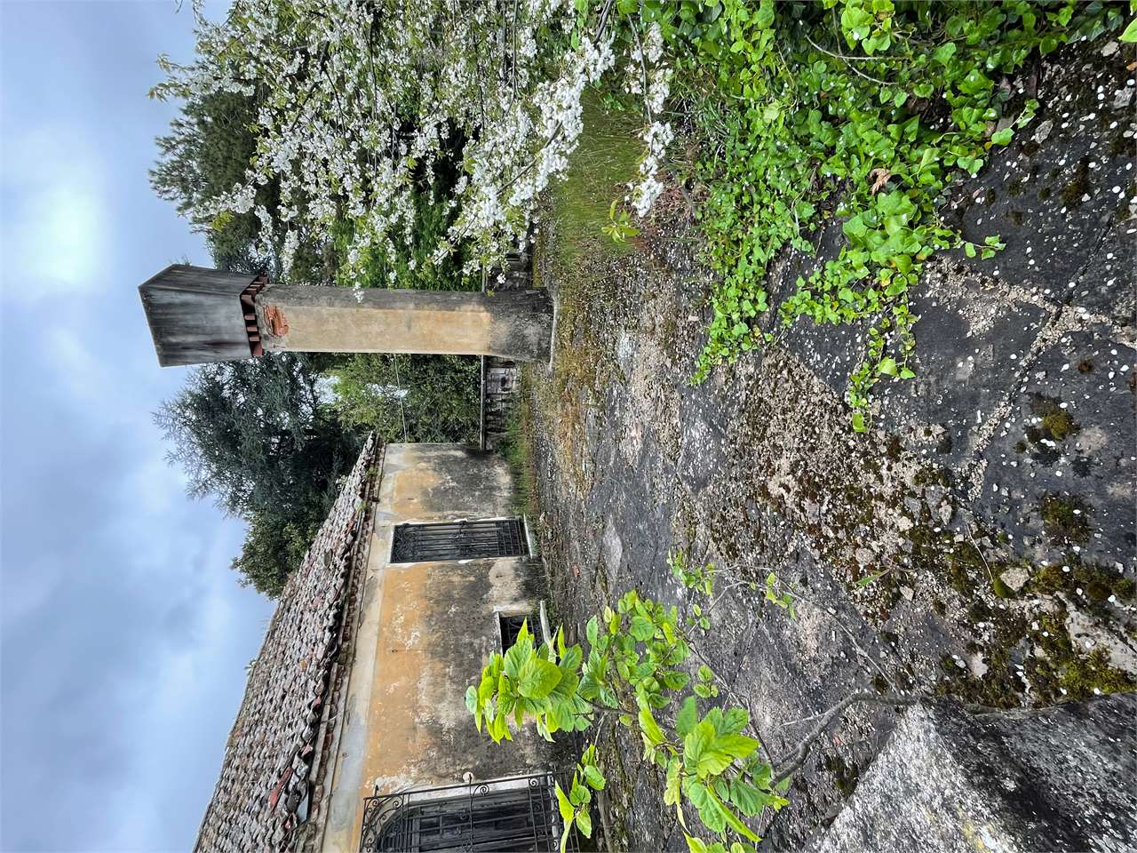 foto-annuncio