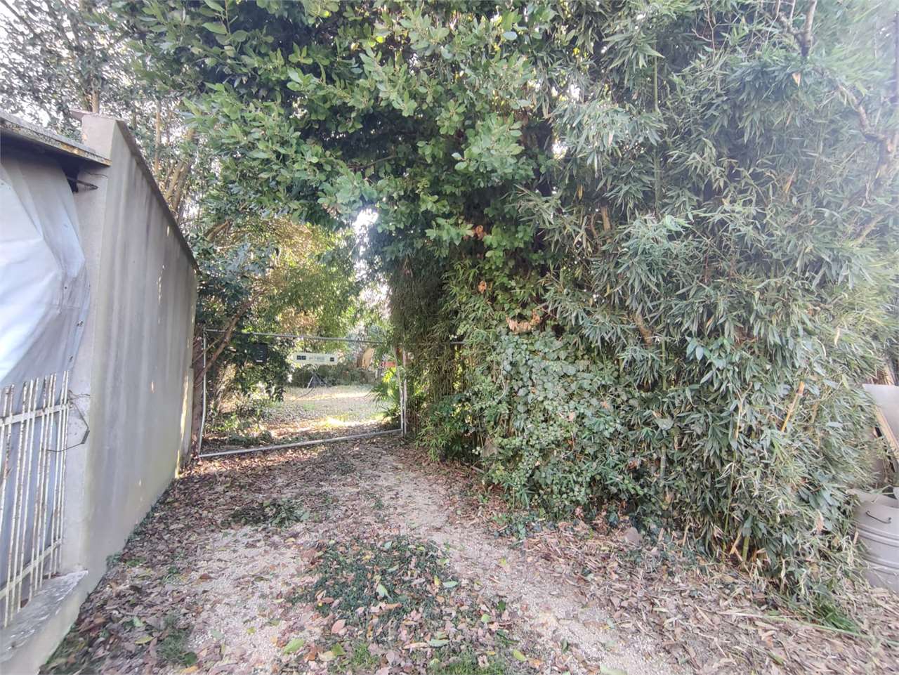 foto-annuncio