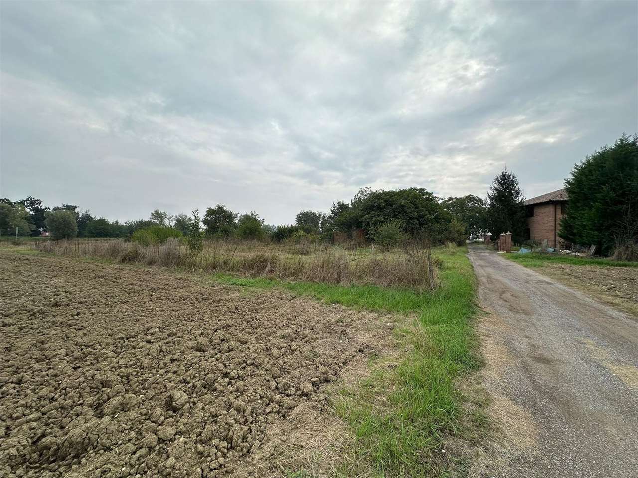 immagine annuncio 8 di 11