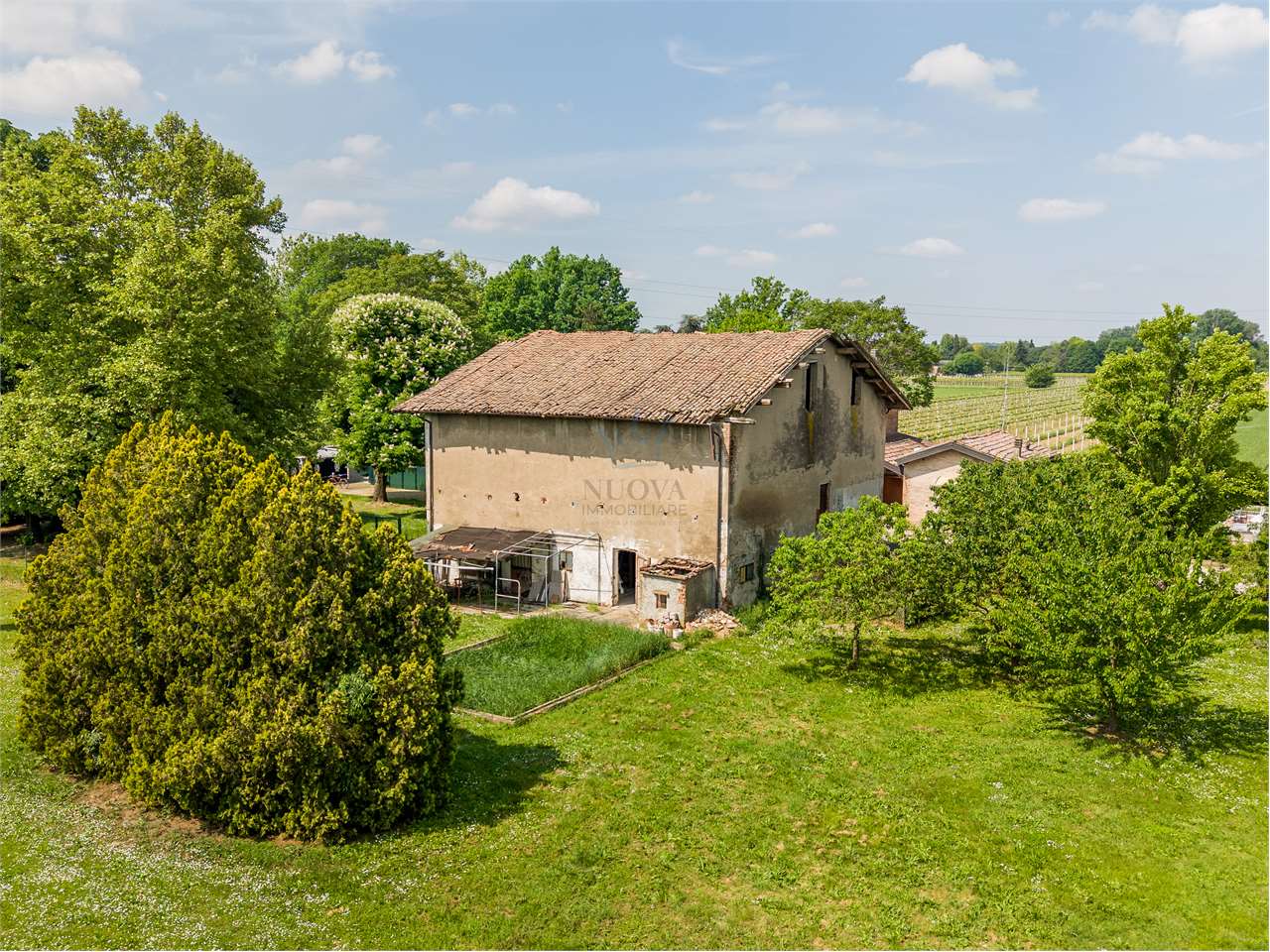 immagine annuncio 1 di 15