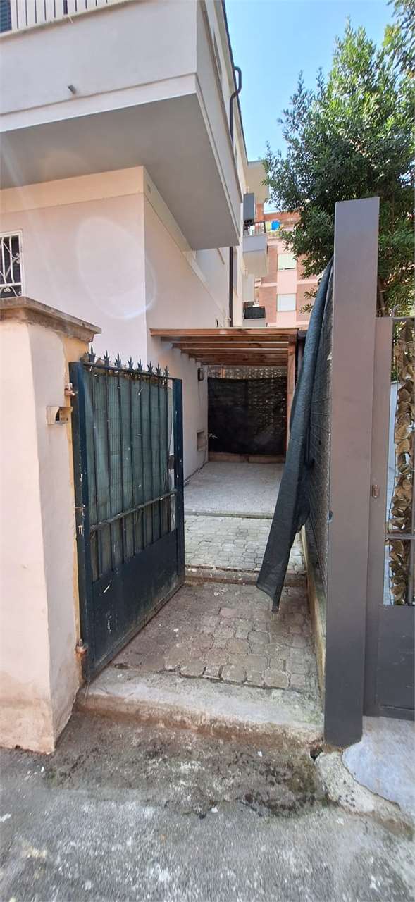 immagine annuncio 3 di 12