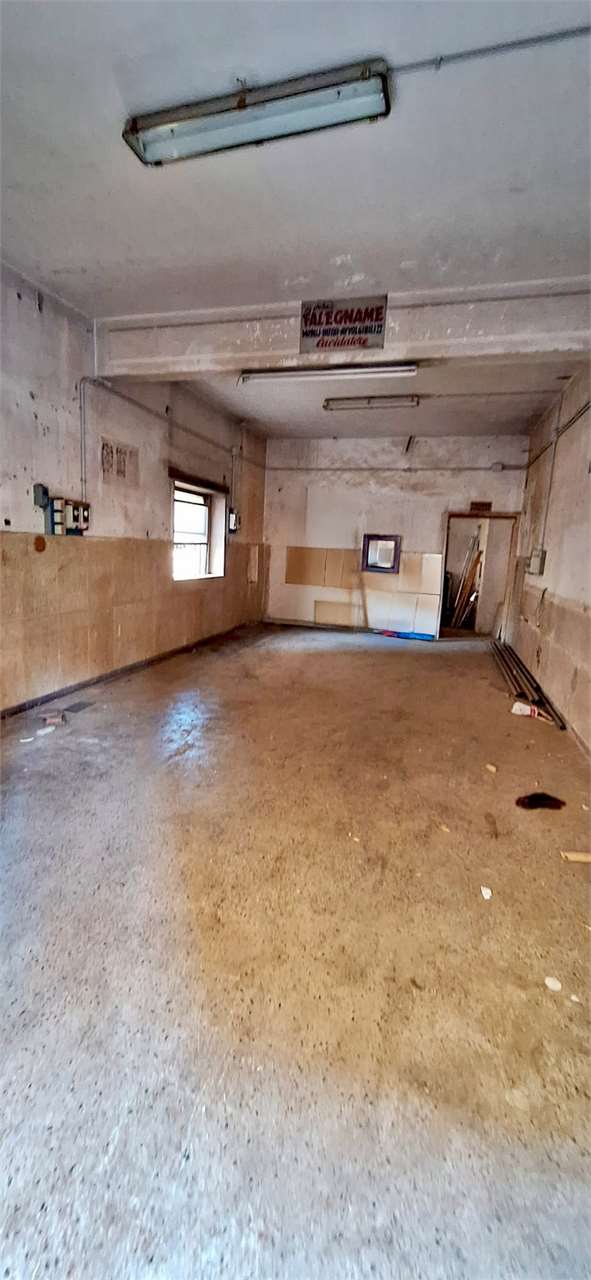 immagine annuncio 4 di 12