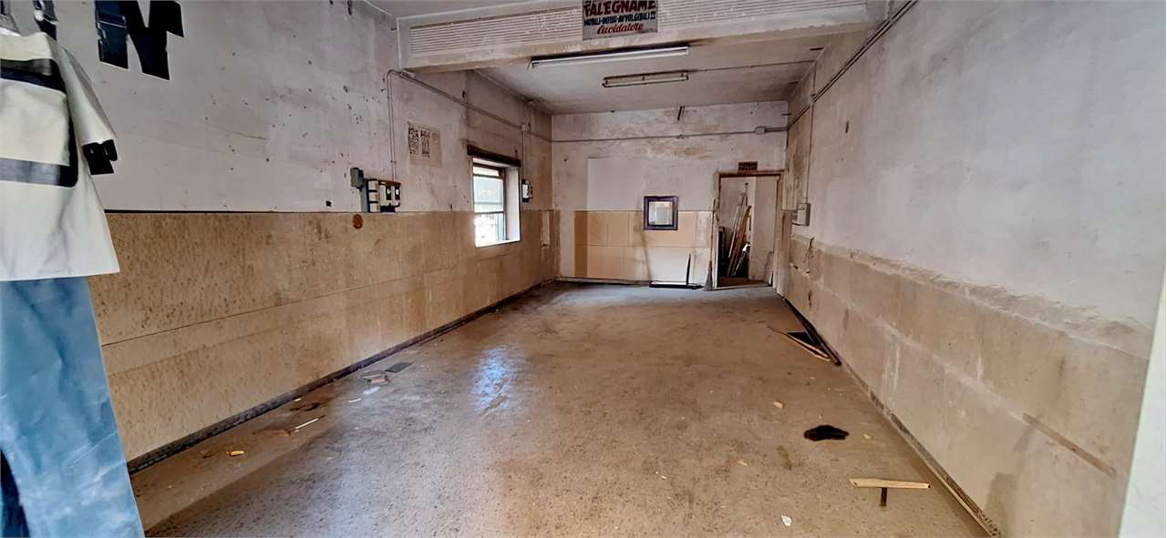 immagine annuncio 2 di 12