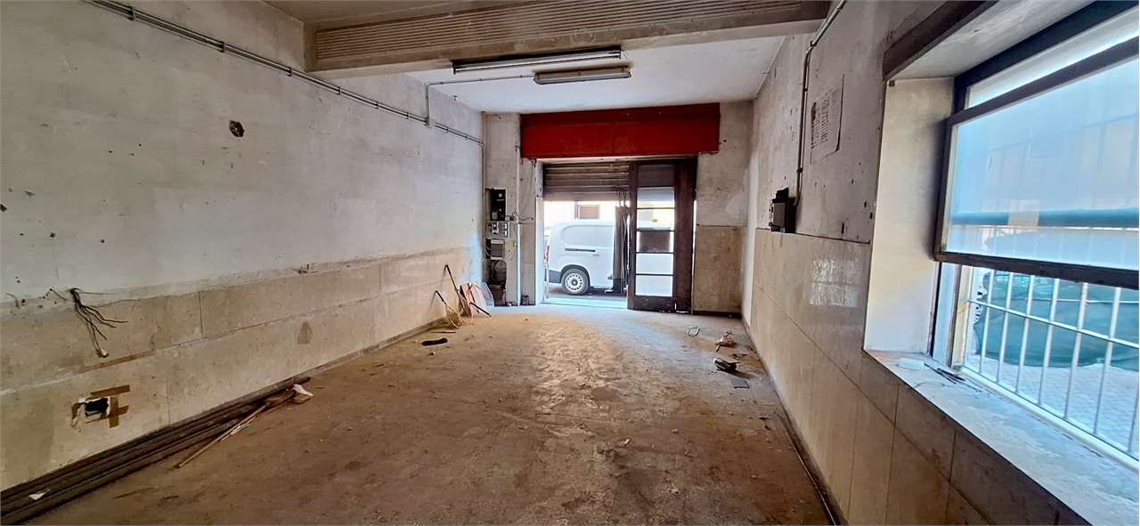 immagine annuncio 3 di 12