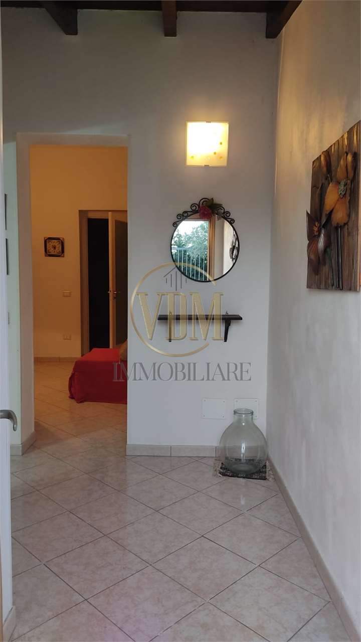 immagine annuncio 2 di 7