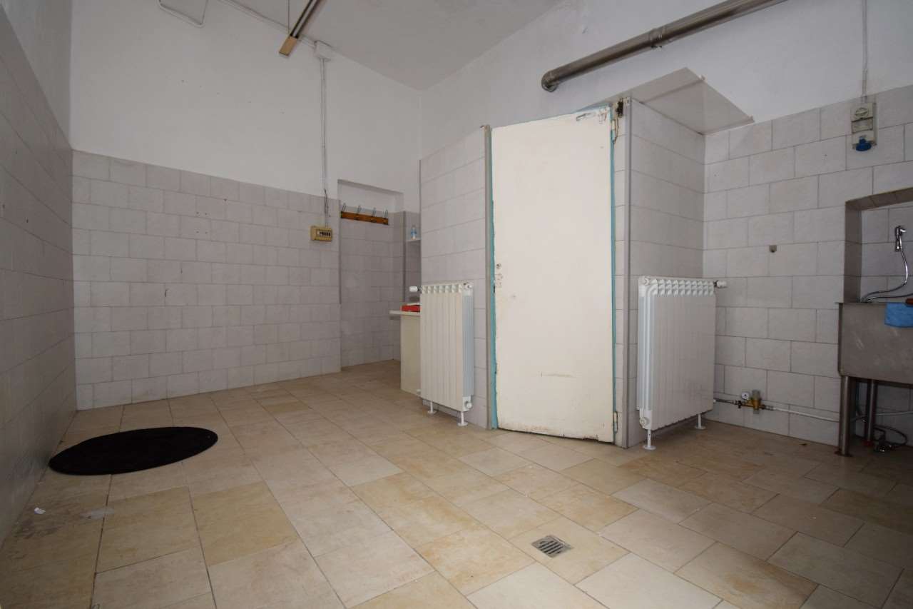 immagine annuncio 7 di 13