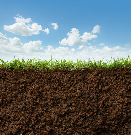 Terreno