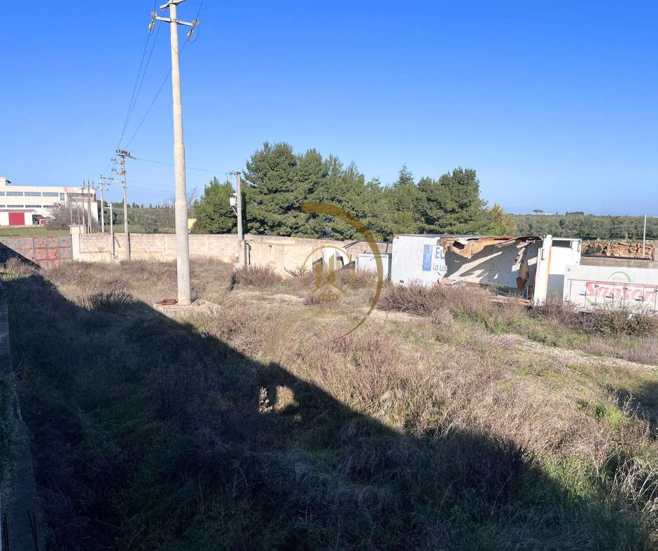 immagine annuncio 6 di 7