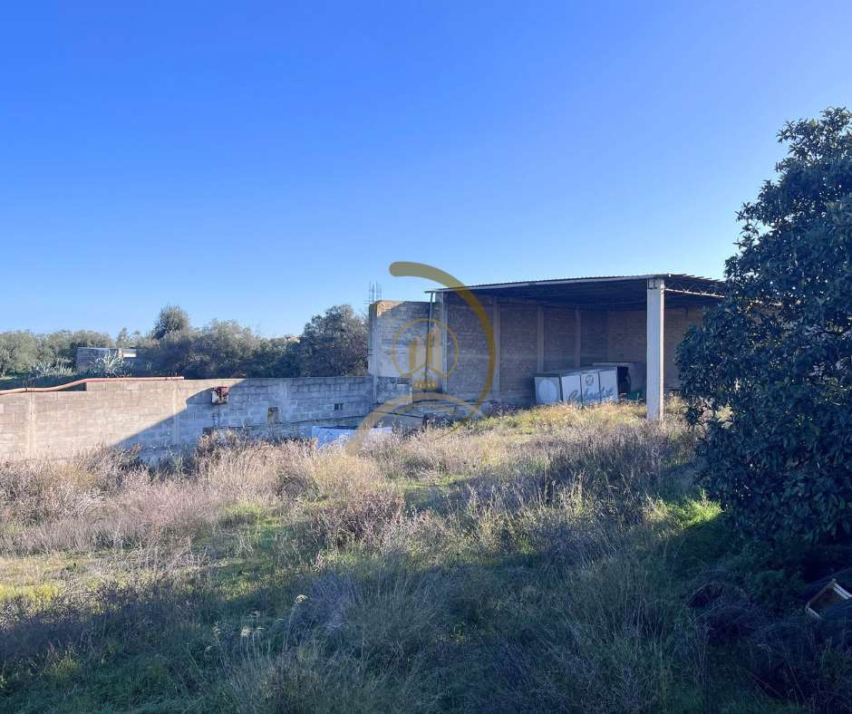 immagine annuncio 5 di 7