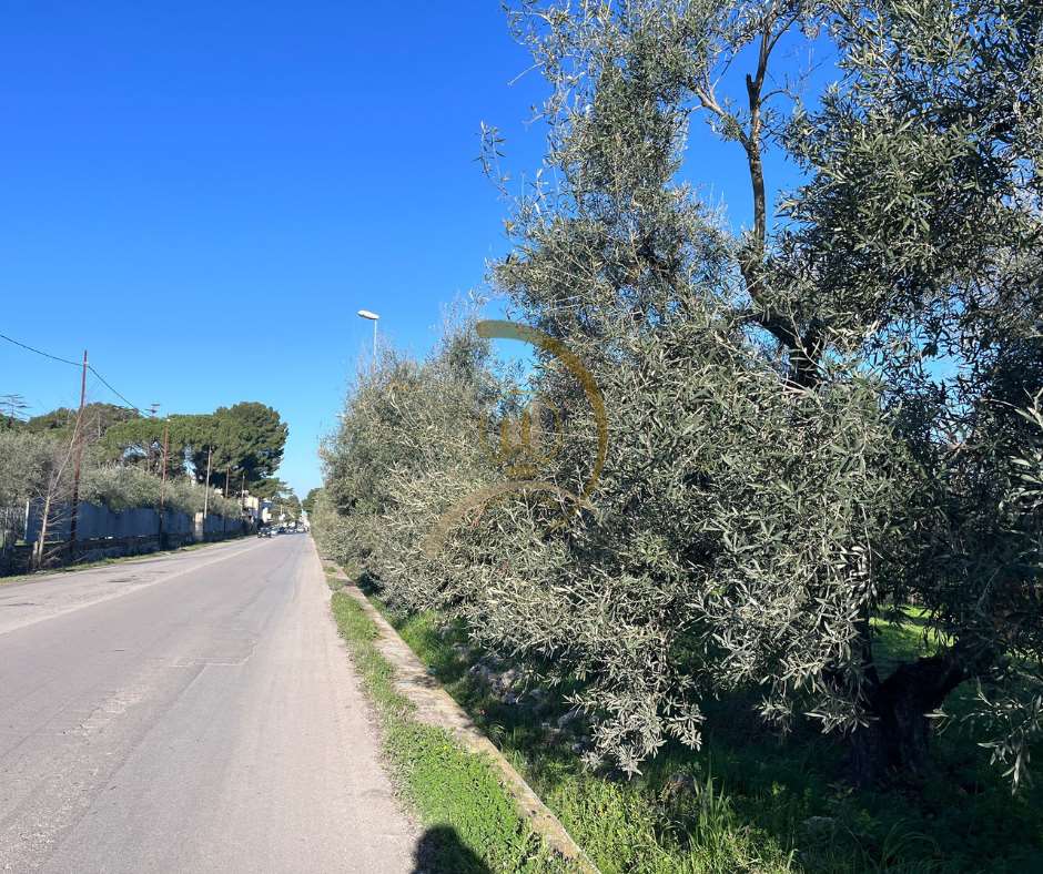 immagine annuncio 5 di 6