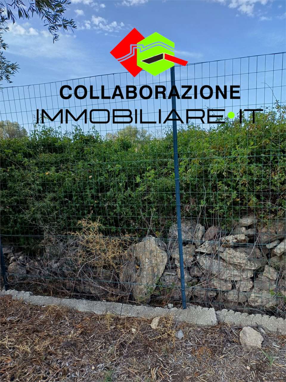 Terreno agricolo in vendita a Siracusa (SR)