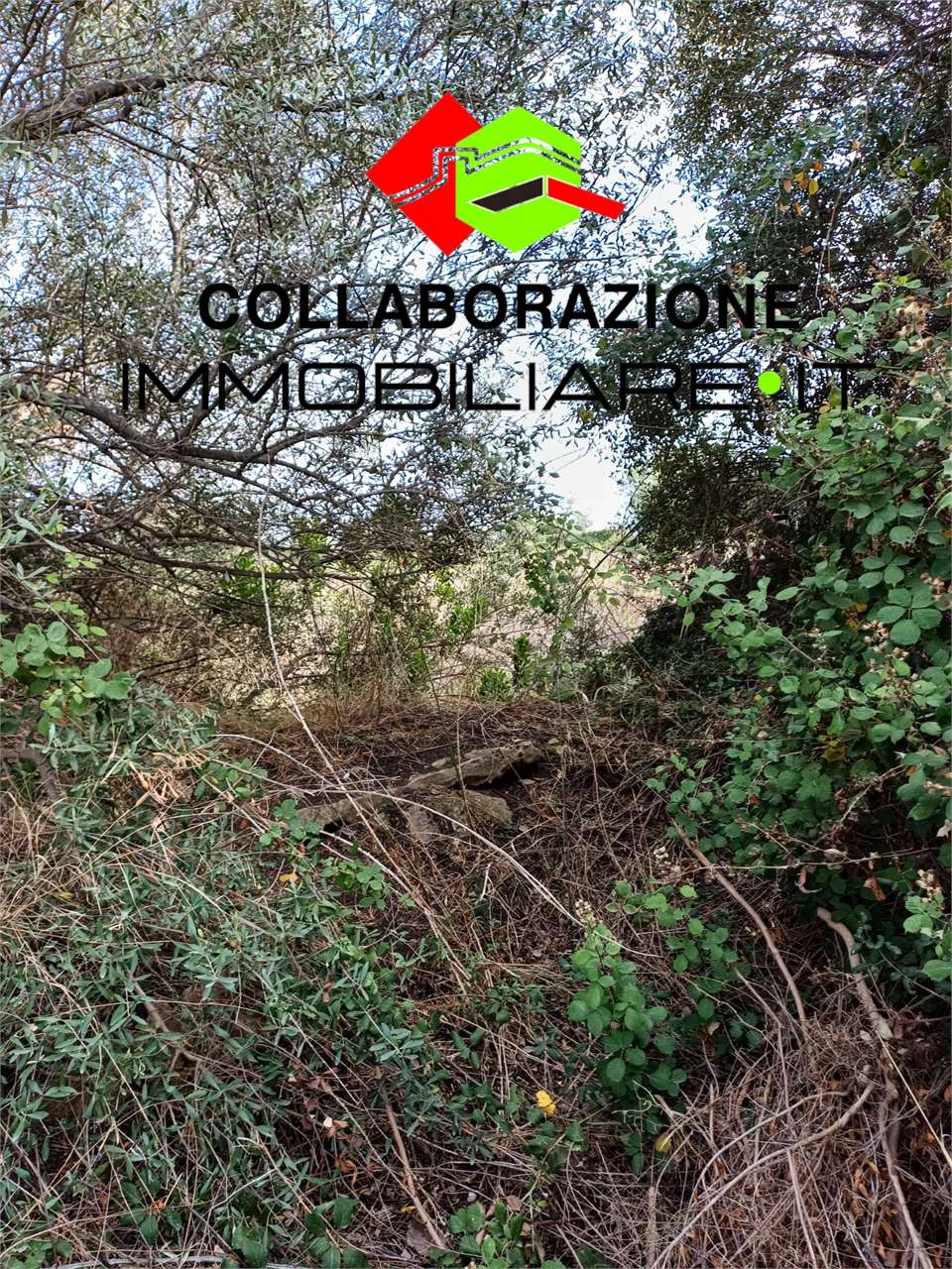 Terreno agricolo in vendita a Siracusa (SR)