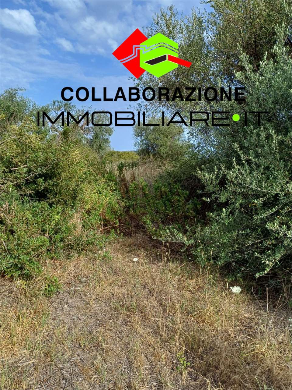 Terreno agricolo in vendita a Siracusa (SR)