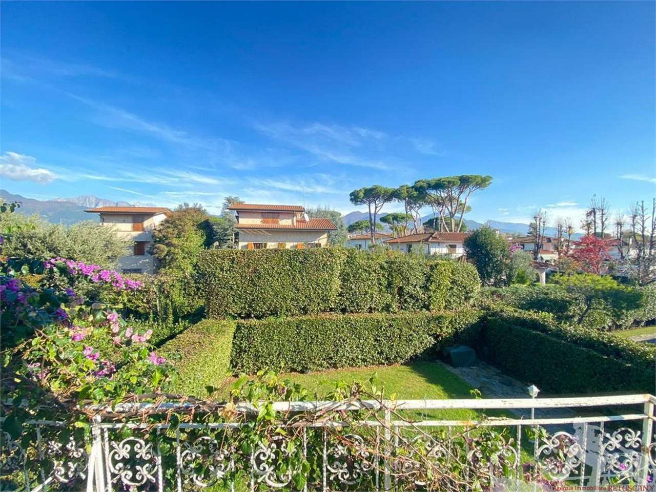 immagine annuncio 1 di 14