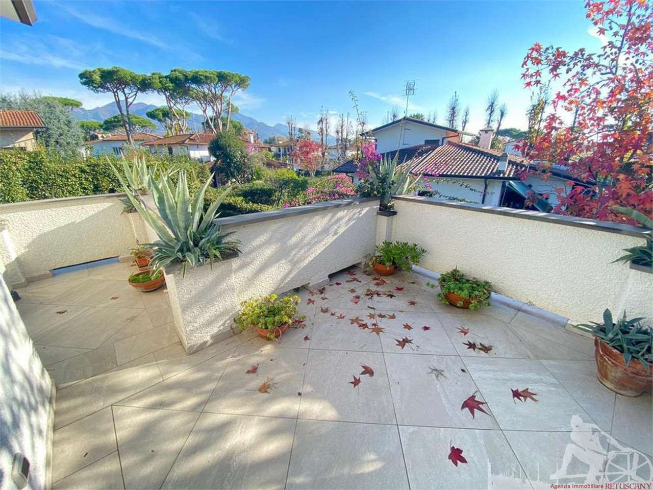 immagine annuncio 2 di 14