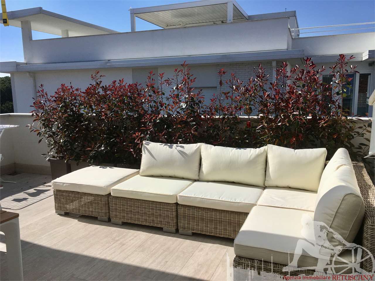 immagine annuncio 2 di 13