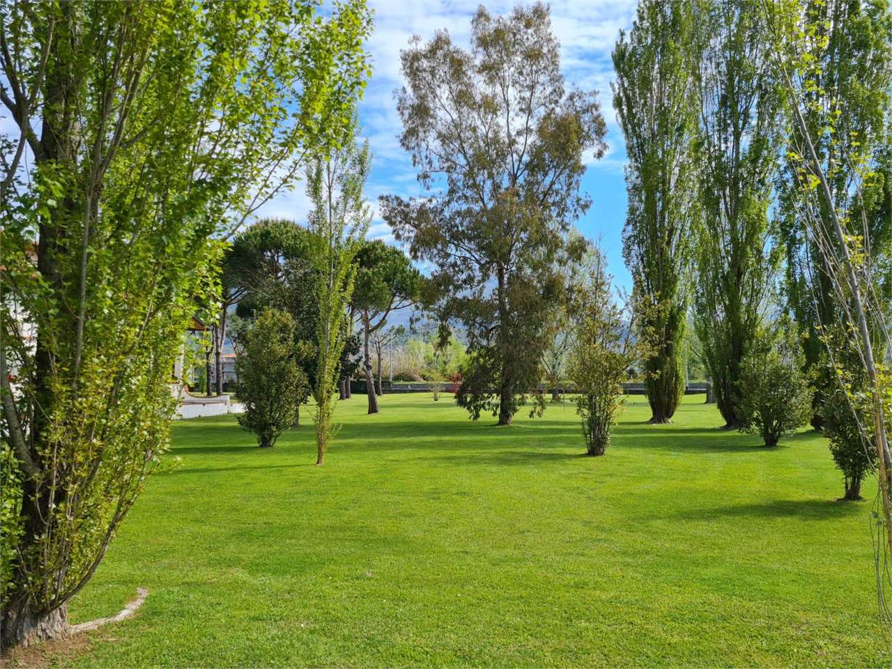 immagine annuncio 5 di 8