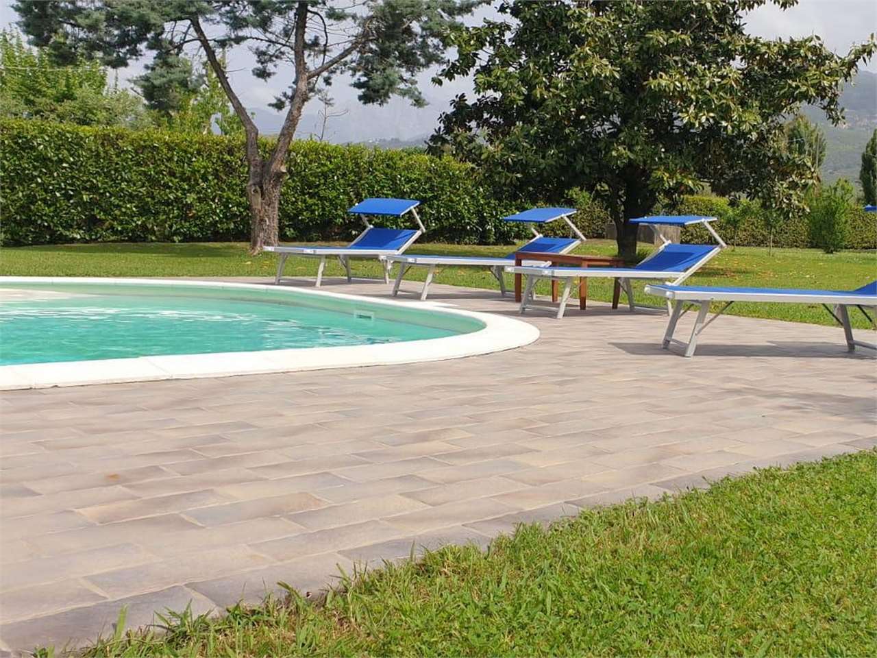 immagine annuncio 7 di 8