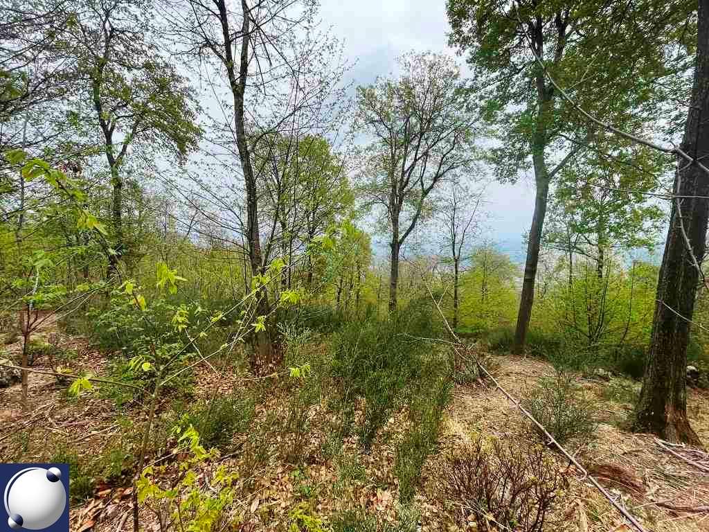 VENDITE Terreni a Albavilla – foto 1