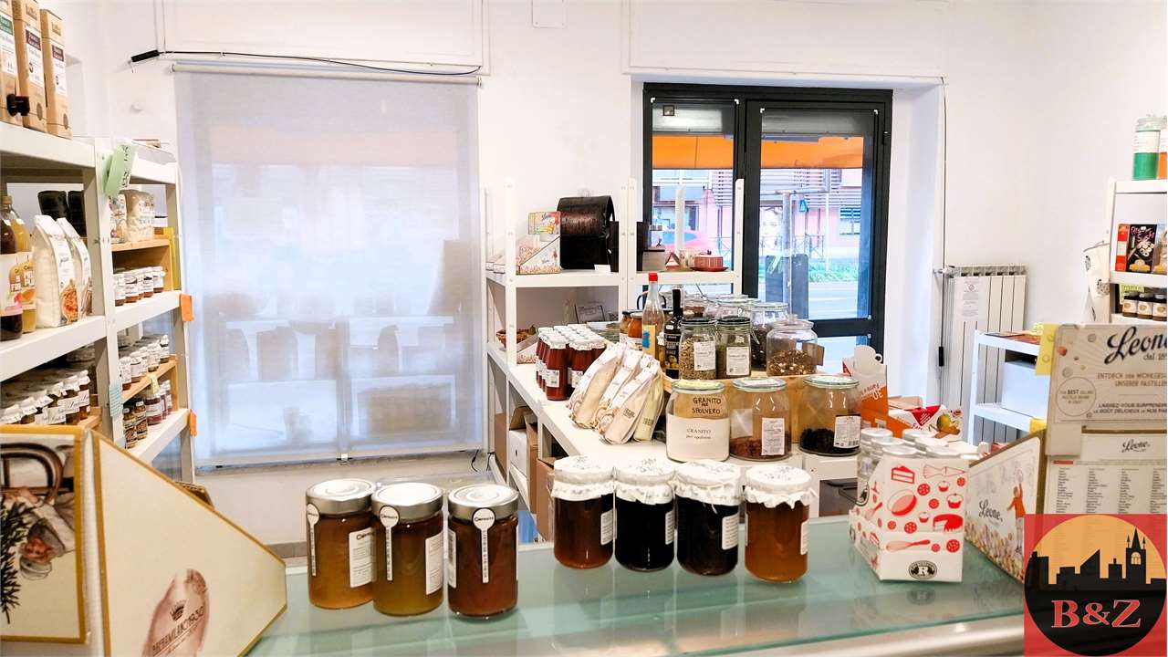 Collegno Affitto Negozio