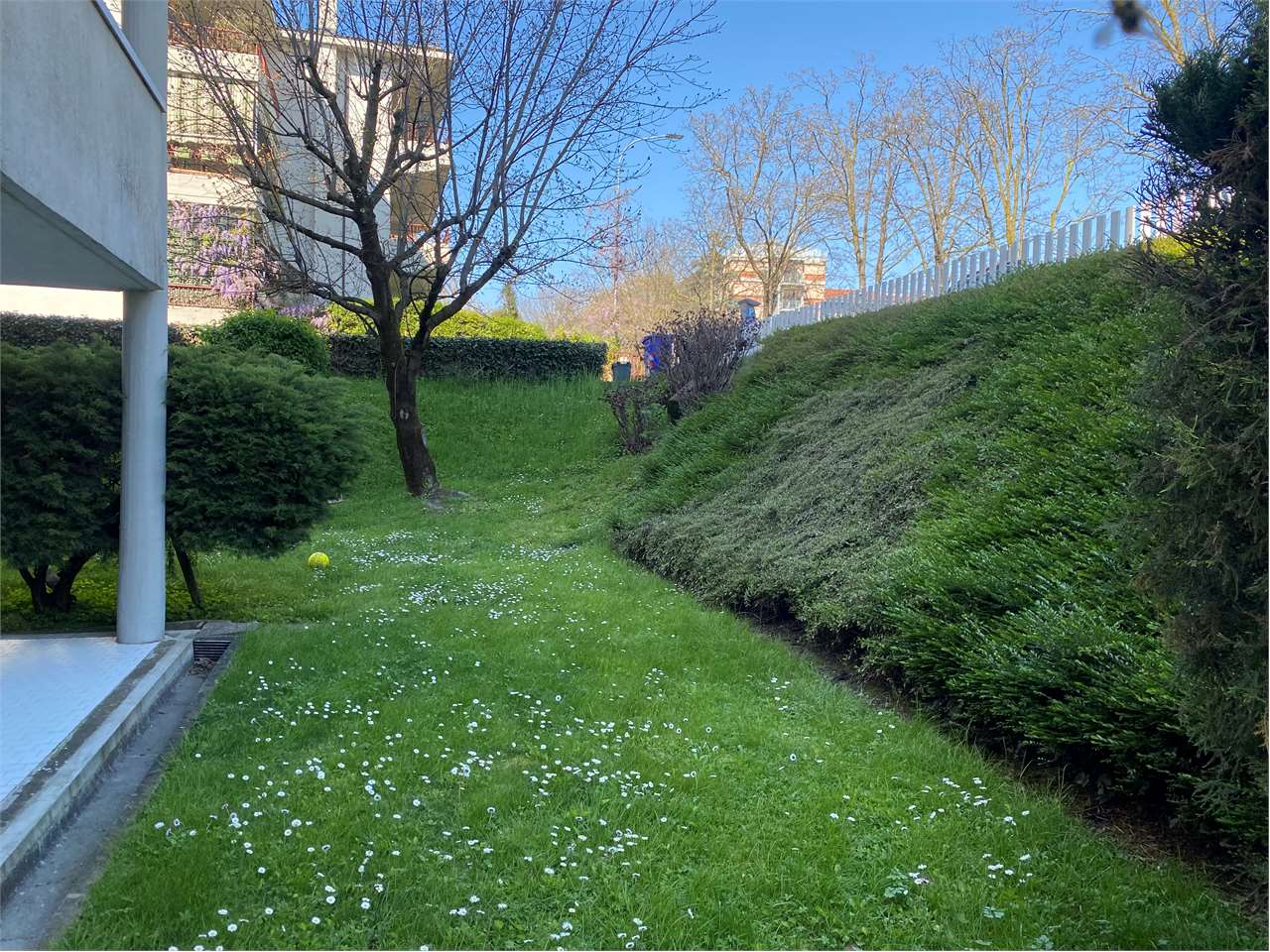 immagine annuncio 5 di 15