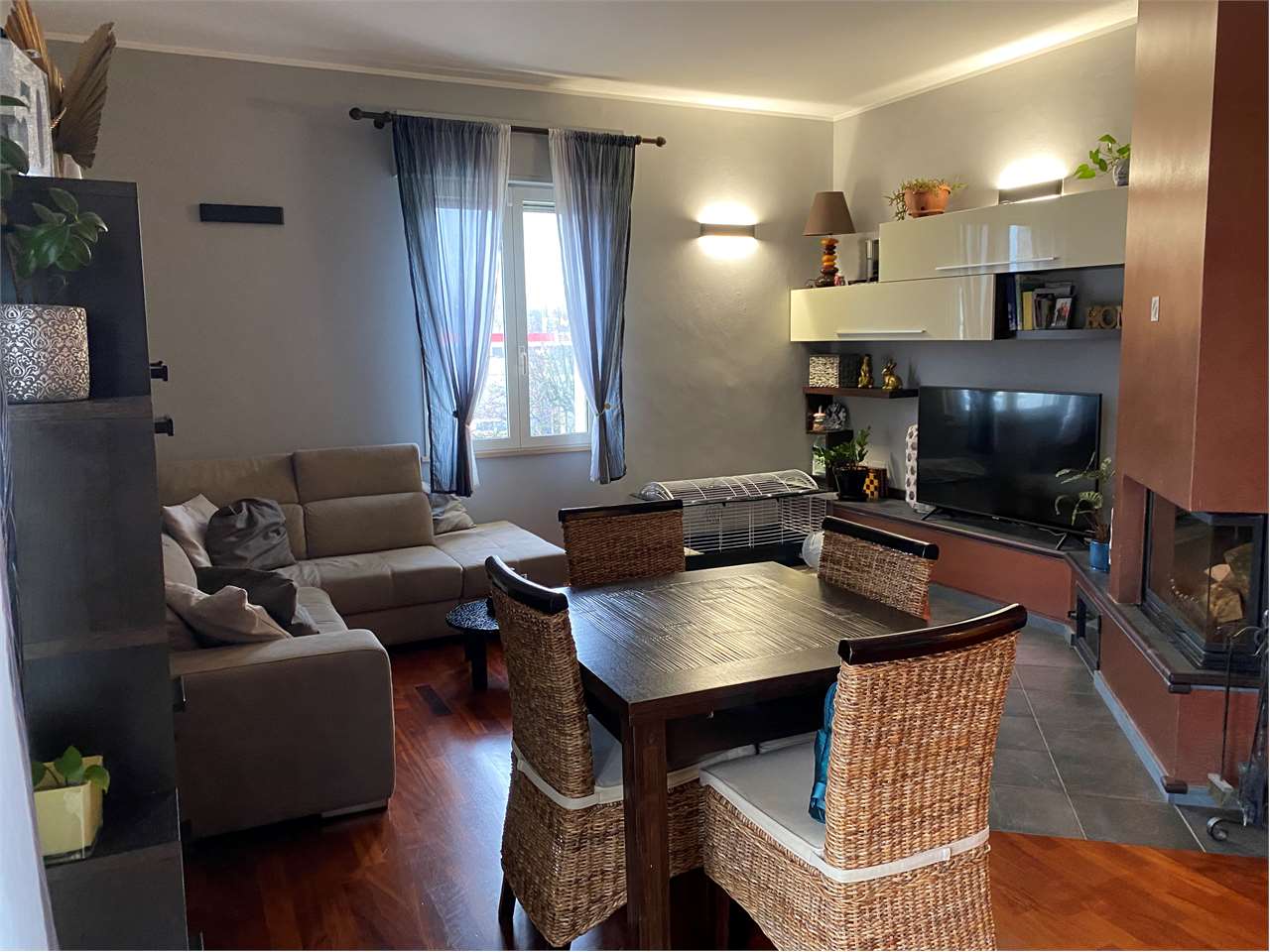 immagine annuncio 12 di 15