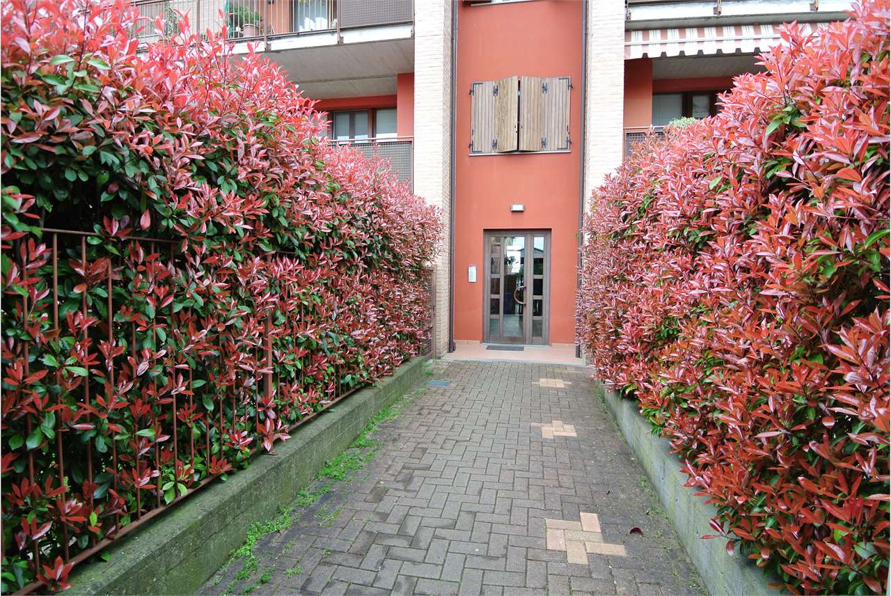 immagine annuncio 6 di 15