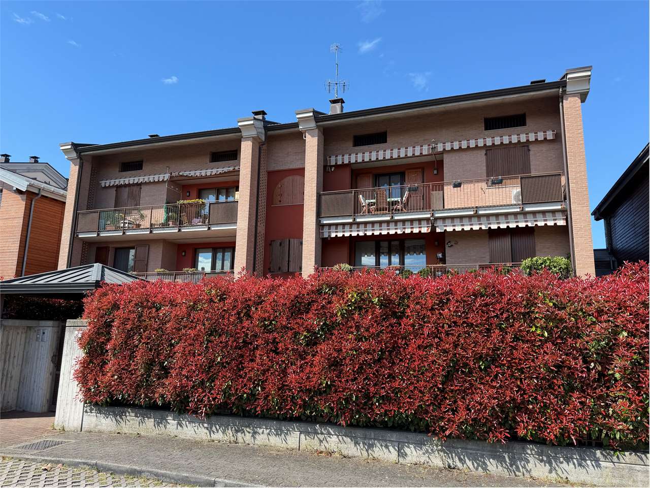 immagine annuncio 3 di 15