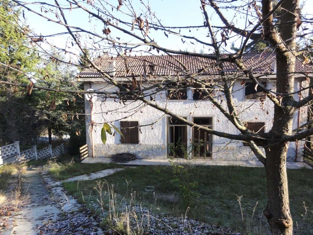 immagine annuncio 12 di 13