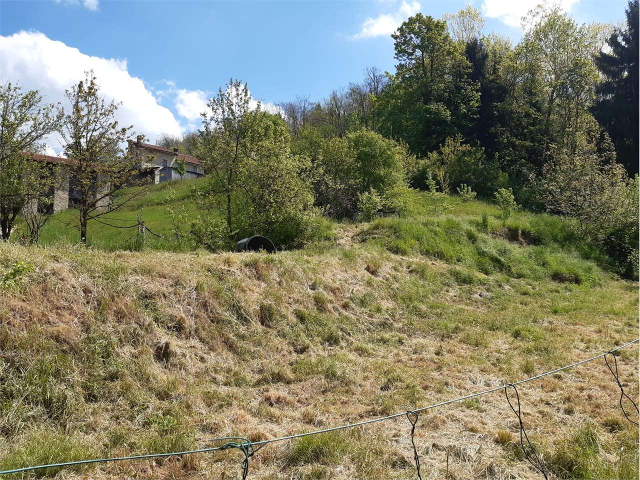 immagine annuncio 1 di 11