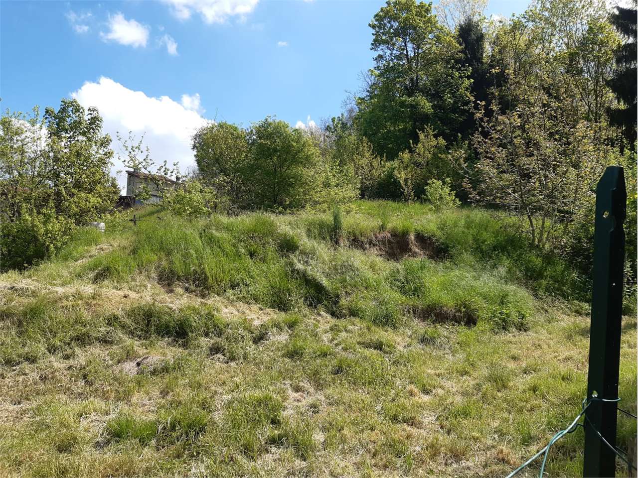 immagine annuncio 2 di 11