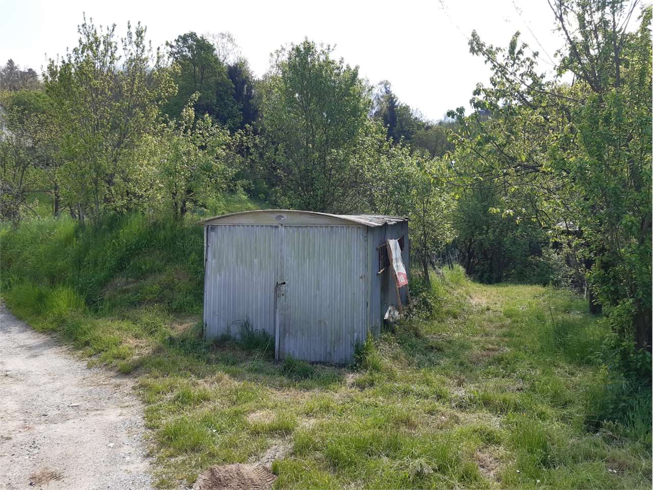 immagine annuncio 9 di 11